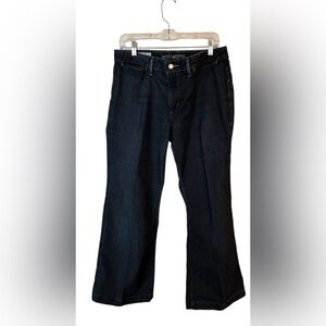 Banana Republic Classic Wide Leg Premium Denim Blue Jeans Size 12L